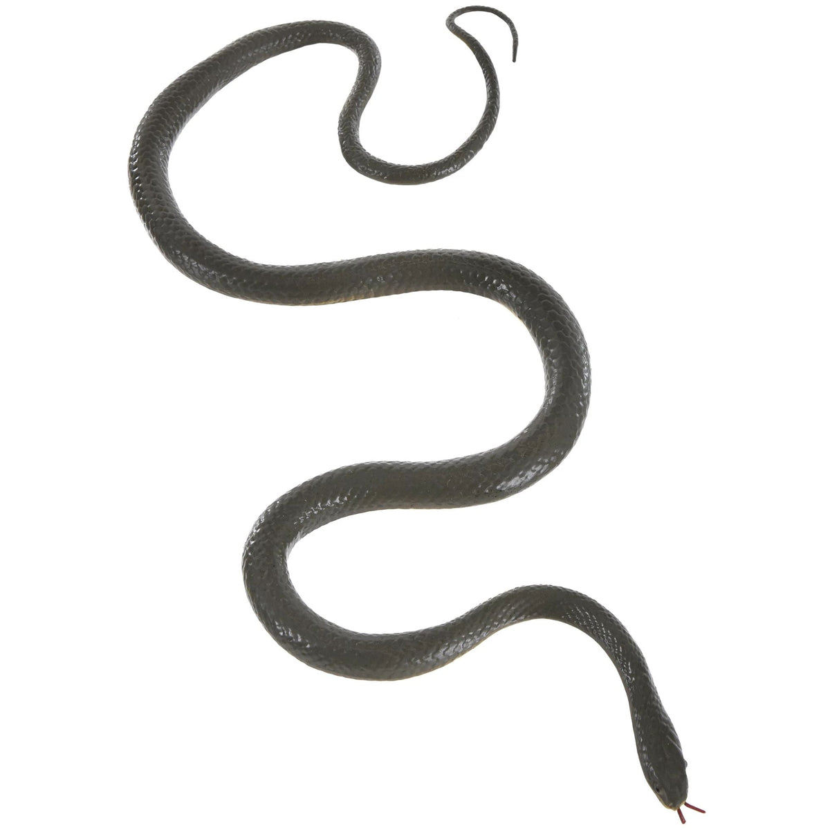 Grand serpent