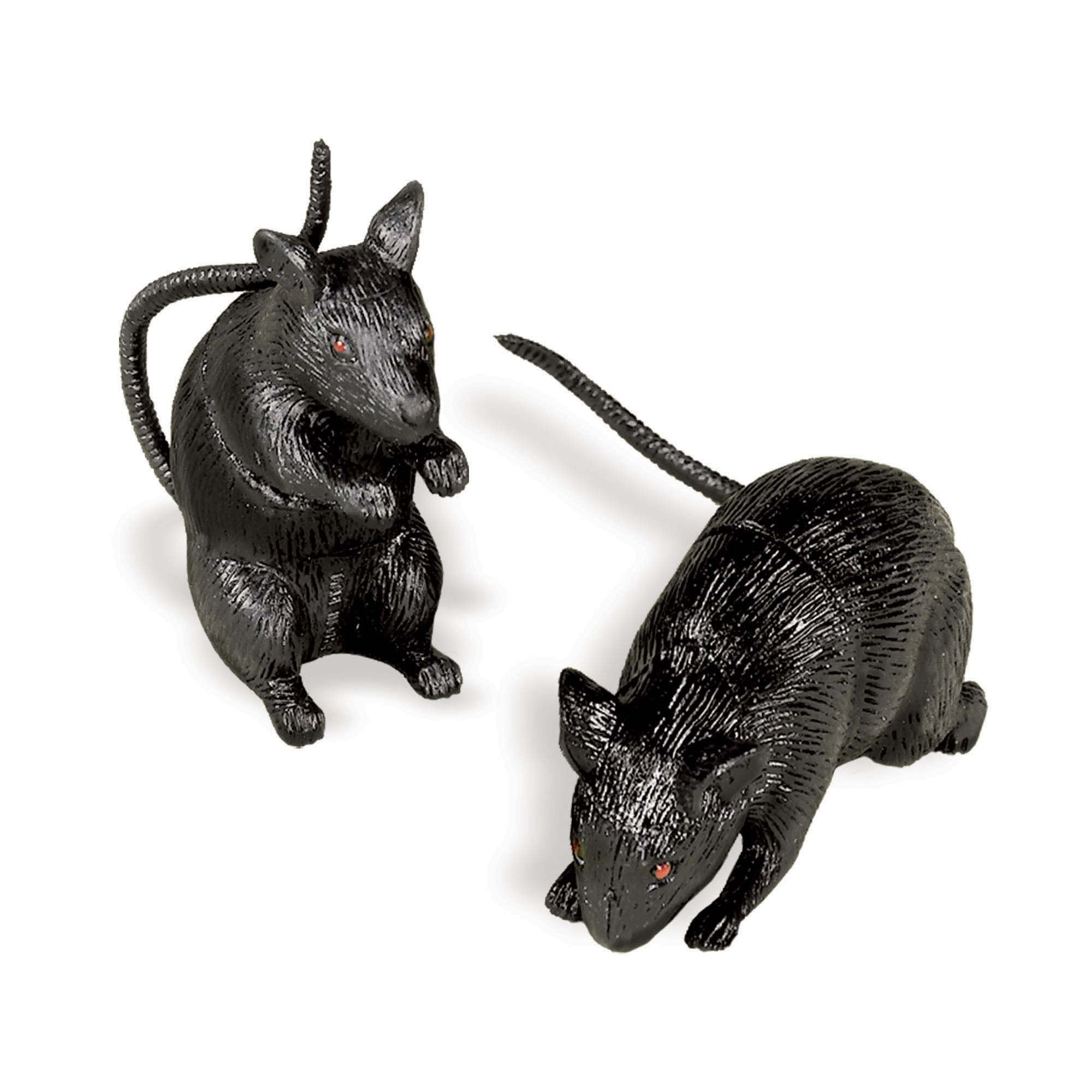 Petit rat
