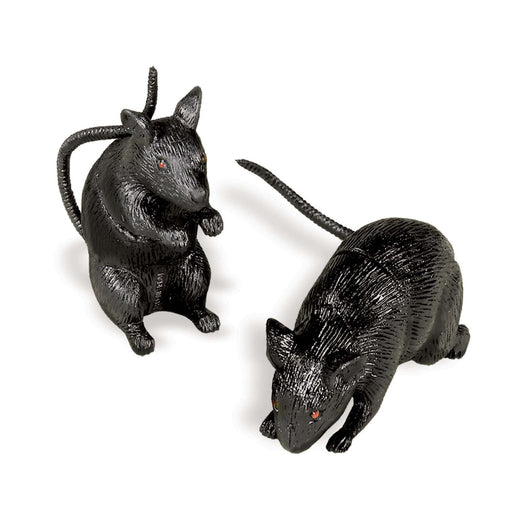 Petit rat