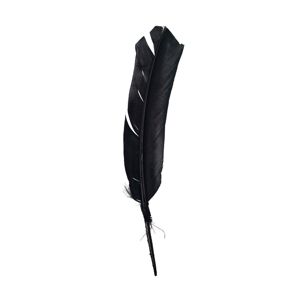 Plume de dinde, 10-12 pouces, Simple: Bleu