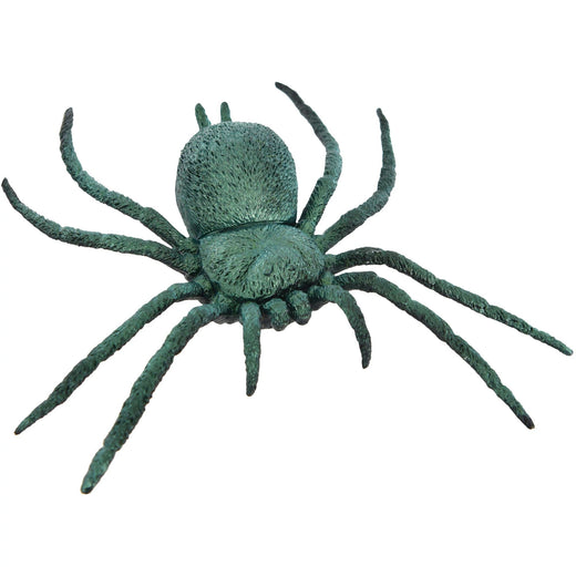 Grande araignée irisée