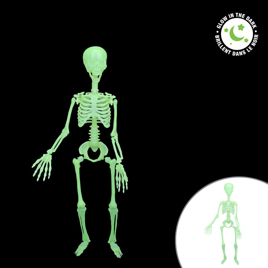 Large glow-in-the-dark articulated skeleton