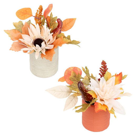 Arrangement de citrouille et fleurs d’automne