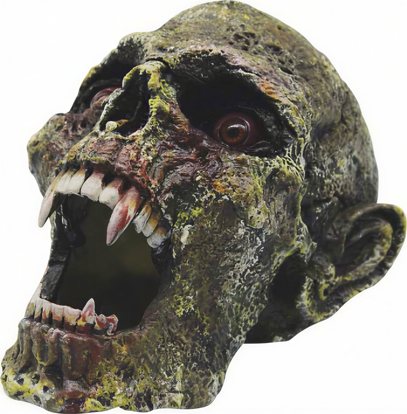 Vampire skull with fangs