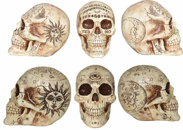 7" Prediction Skull