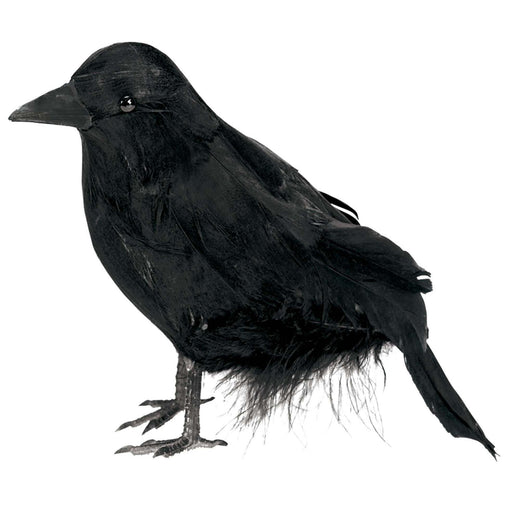 Feathered Raven