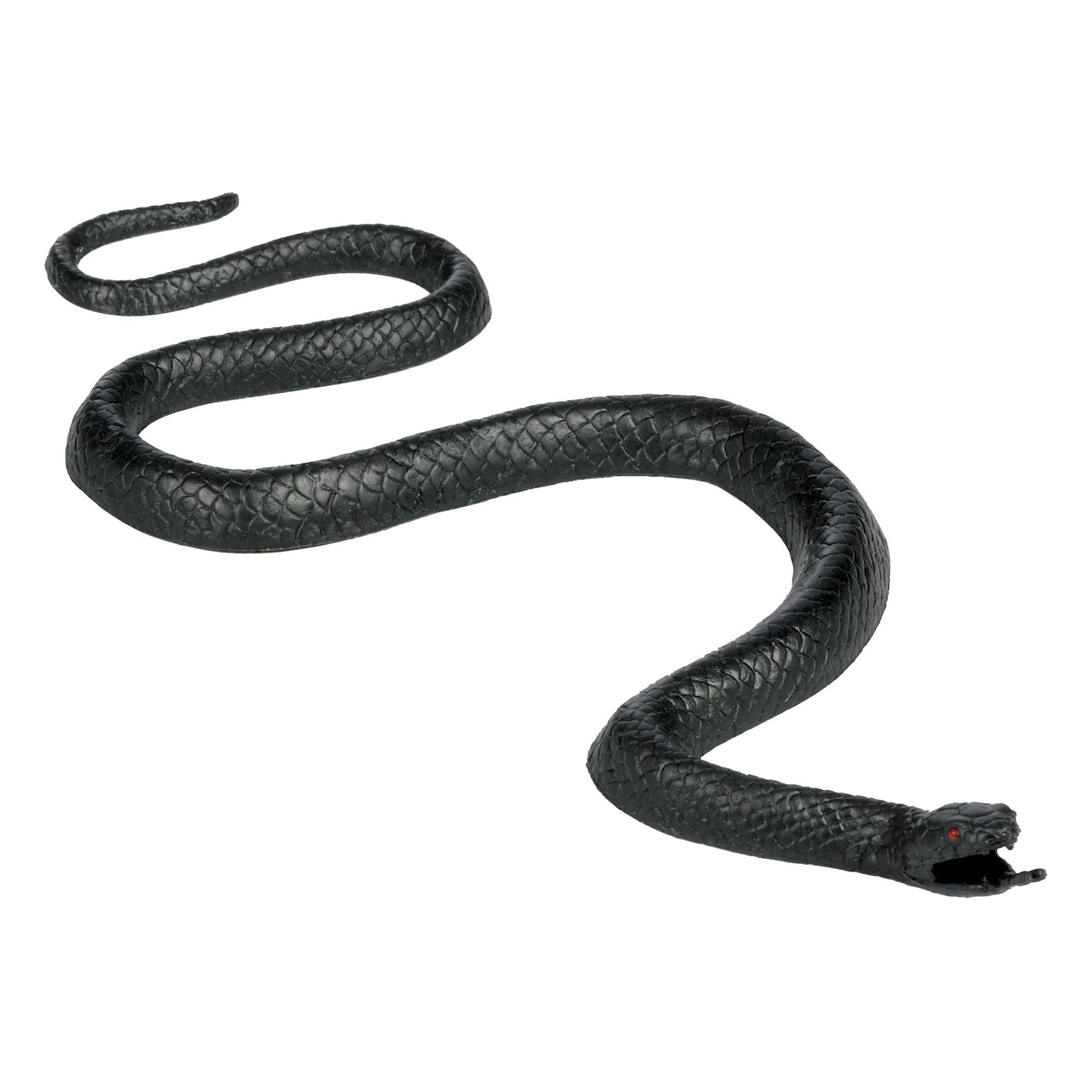 Little snake