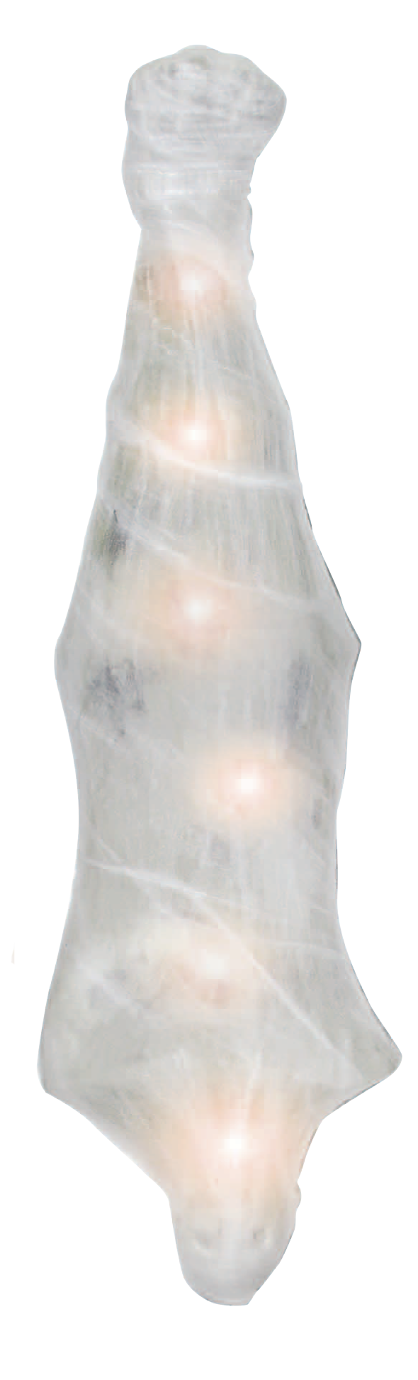 Cocon humain avec lumières (5')