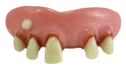 Fausses dents "Deliverance" - Adulte - Billy Bob