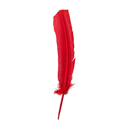 Plume de dinde, 10-12 pouces, Simple: Blanc