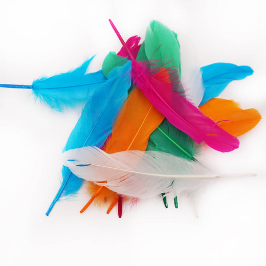 Plumes artisanales assorties et éclatantes – assortiment multicolore