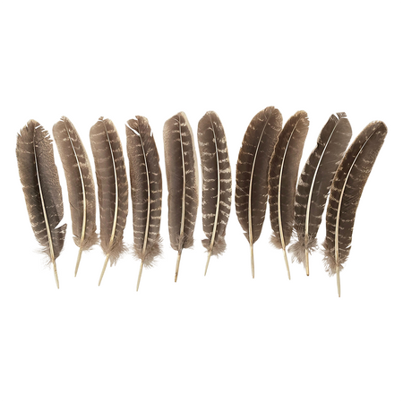 Plume de dinde, 10-12 pouces, Simple: Bleu