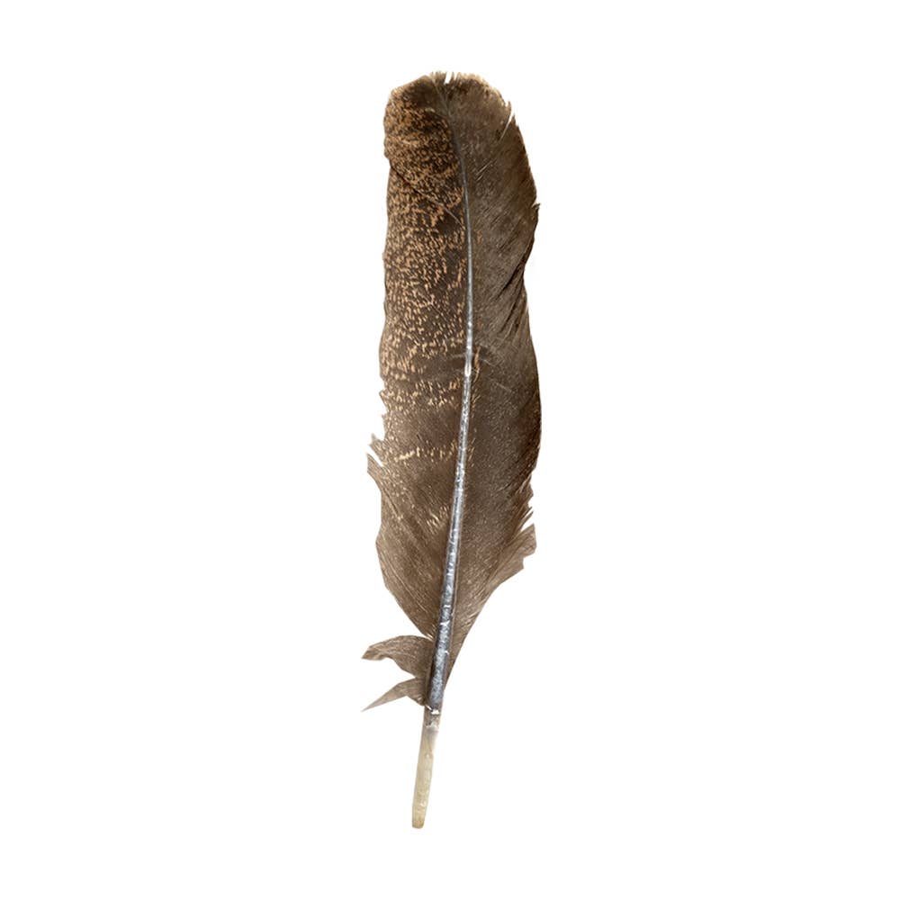 Plume de dinde, 10-12 pouces, Simple: Vert