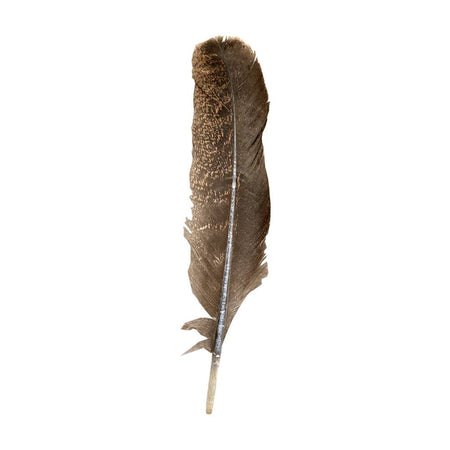 Plume de dinde, 10-12 pouces, Simple: Bleu
