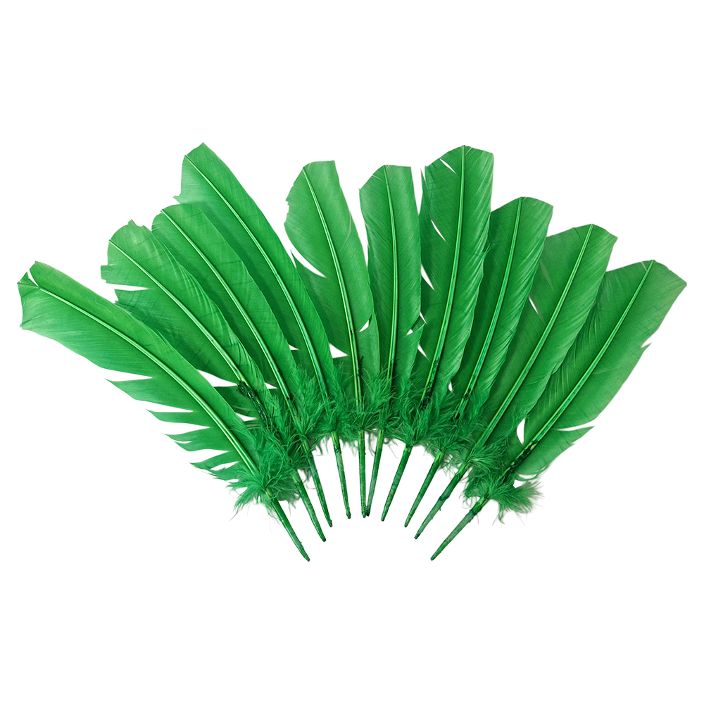 Plume de dinde, 10-12 pouces, Simple: Blanc