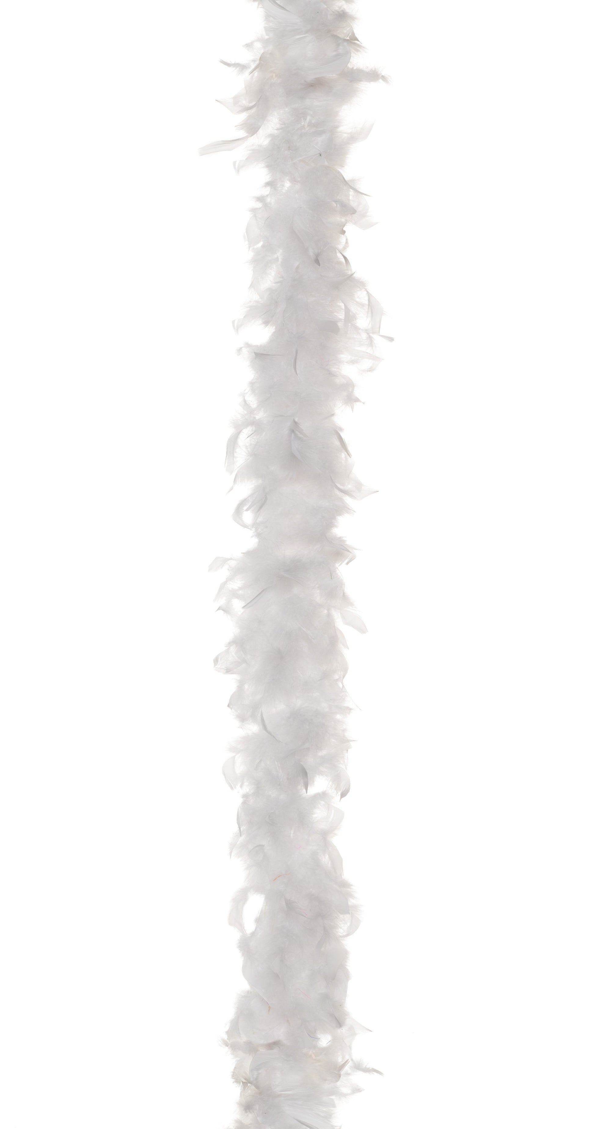 Jumbo white boa