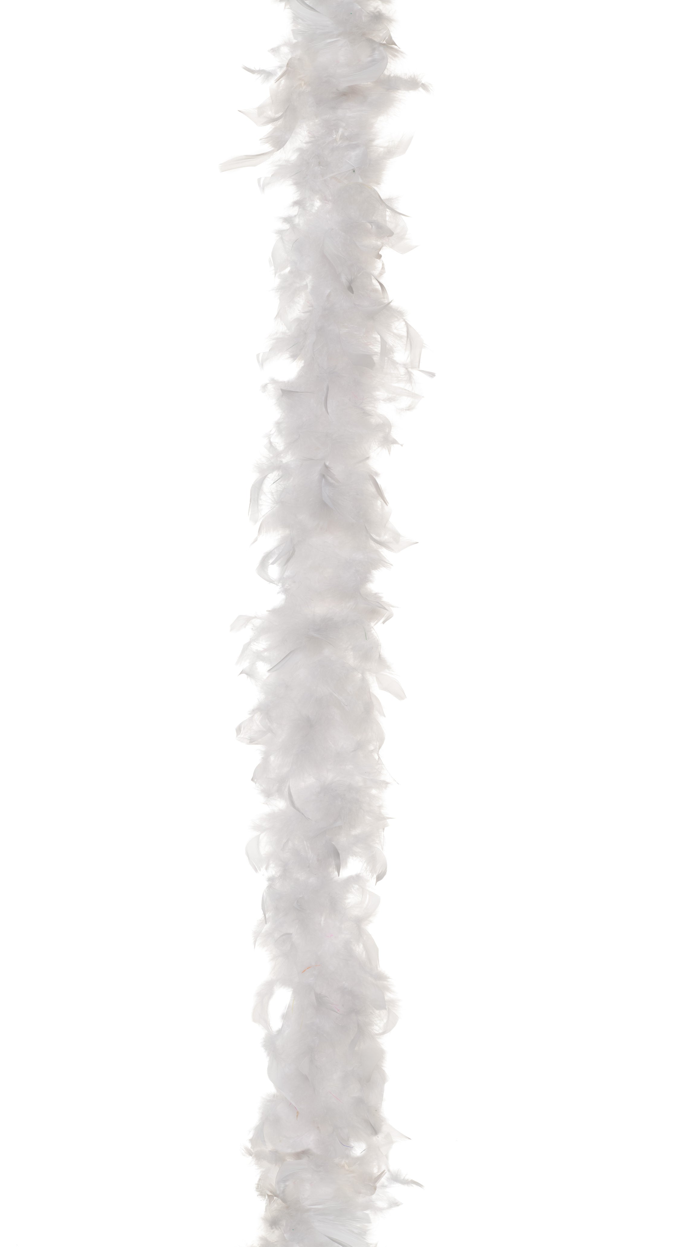 Jumbo white boa