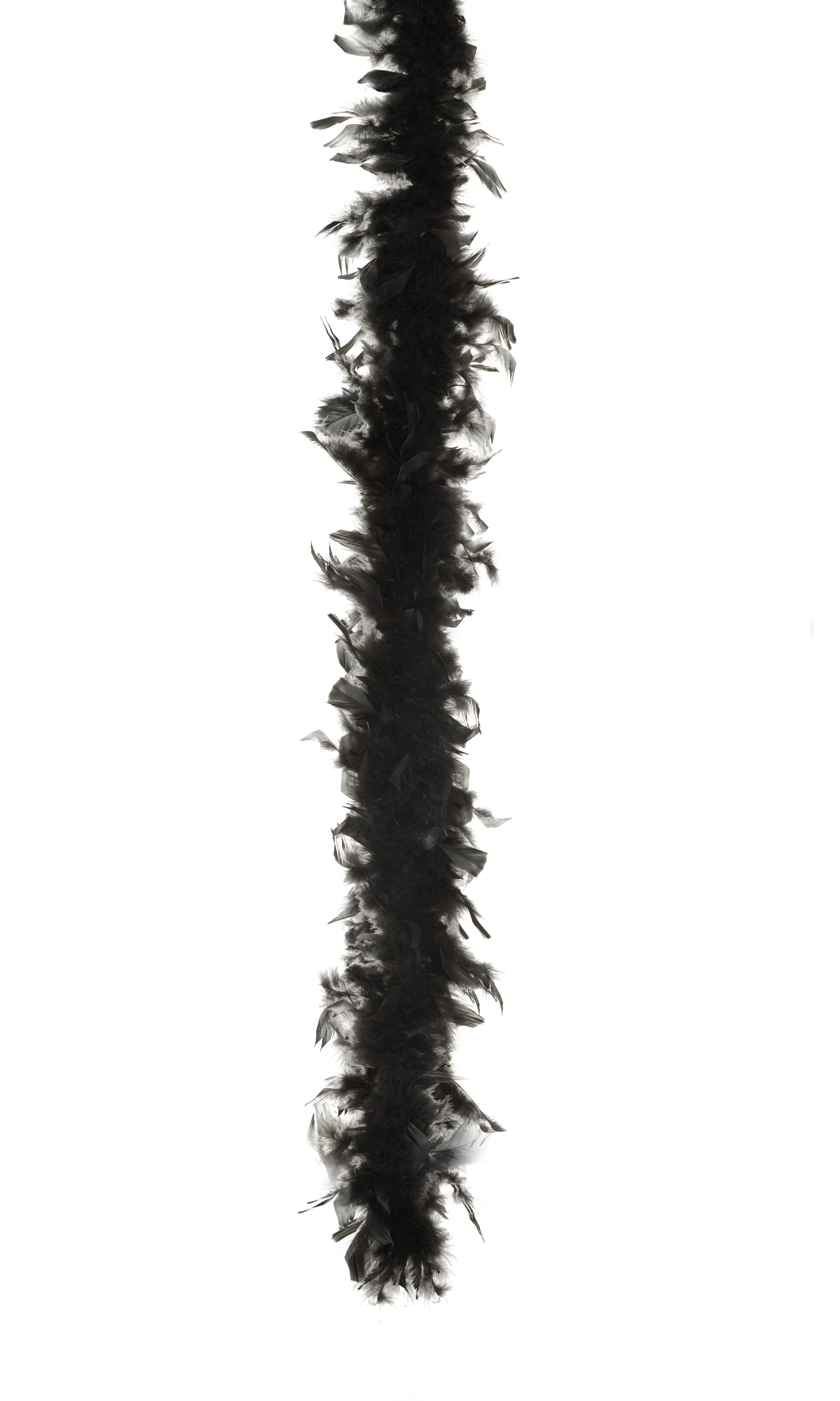 Boa jumbo noir