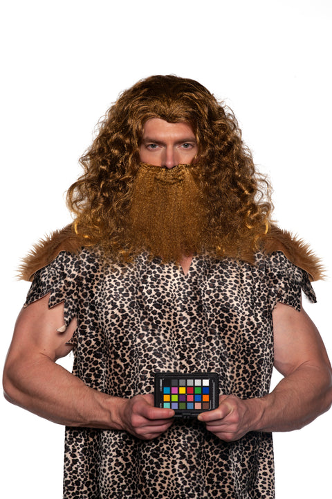 Ensemble perruque et barbe viking