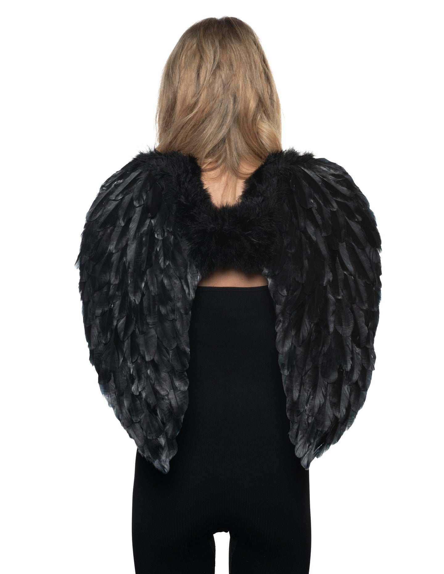 Ailes ange en plumes noires