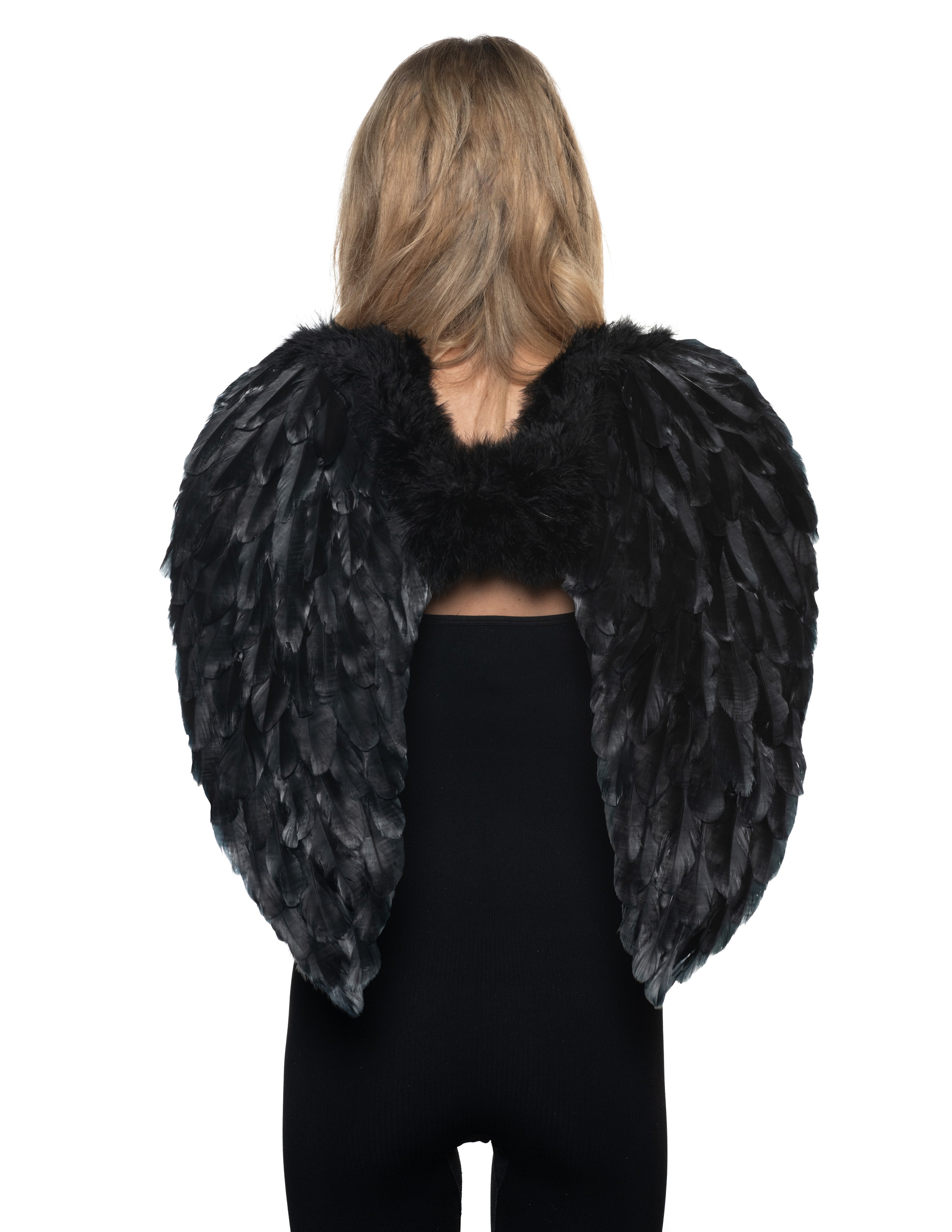 Ailes ange en plumes noires