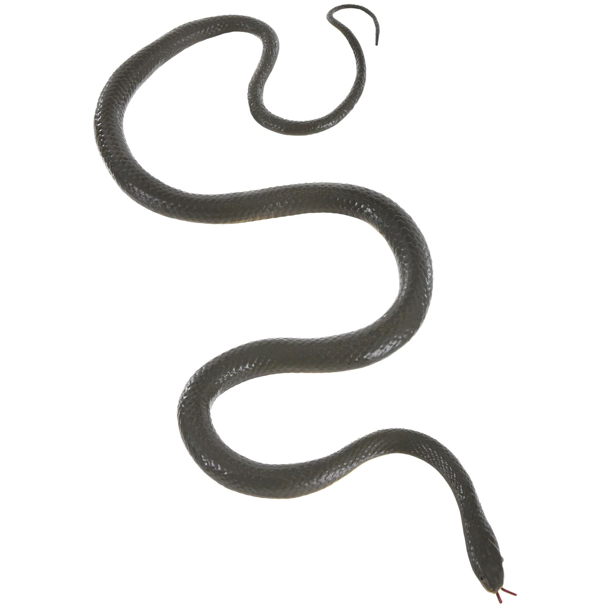 Grand serpent