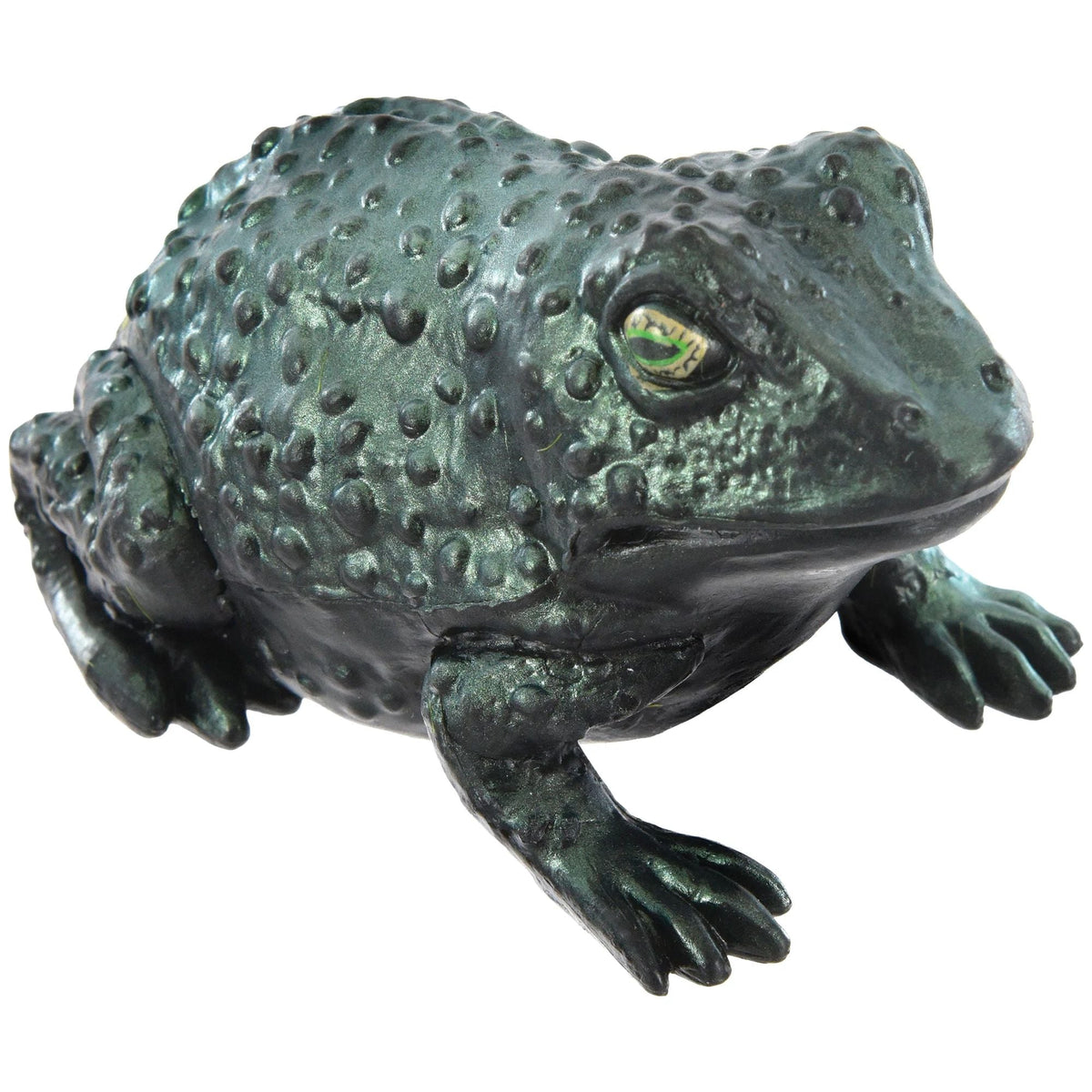 Large iridescent toad