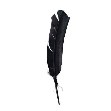 Plume de dinde, 10-12 pouces, Simple: Blanc