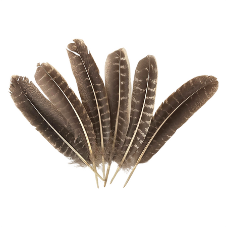 Plume de dinde, 10-12 pouces, Simple: Vert