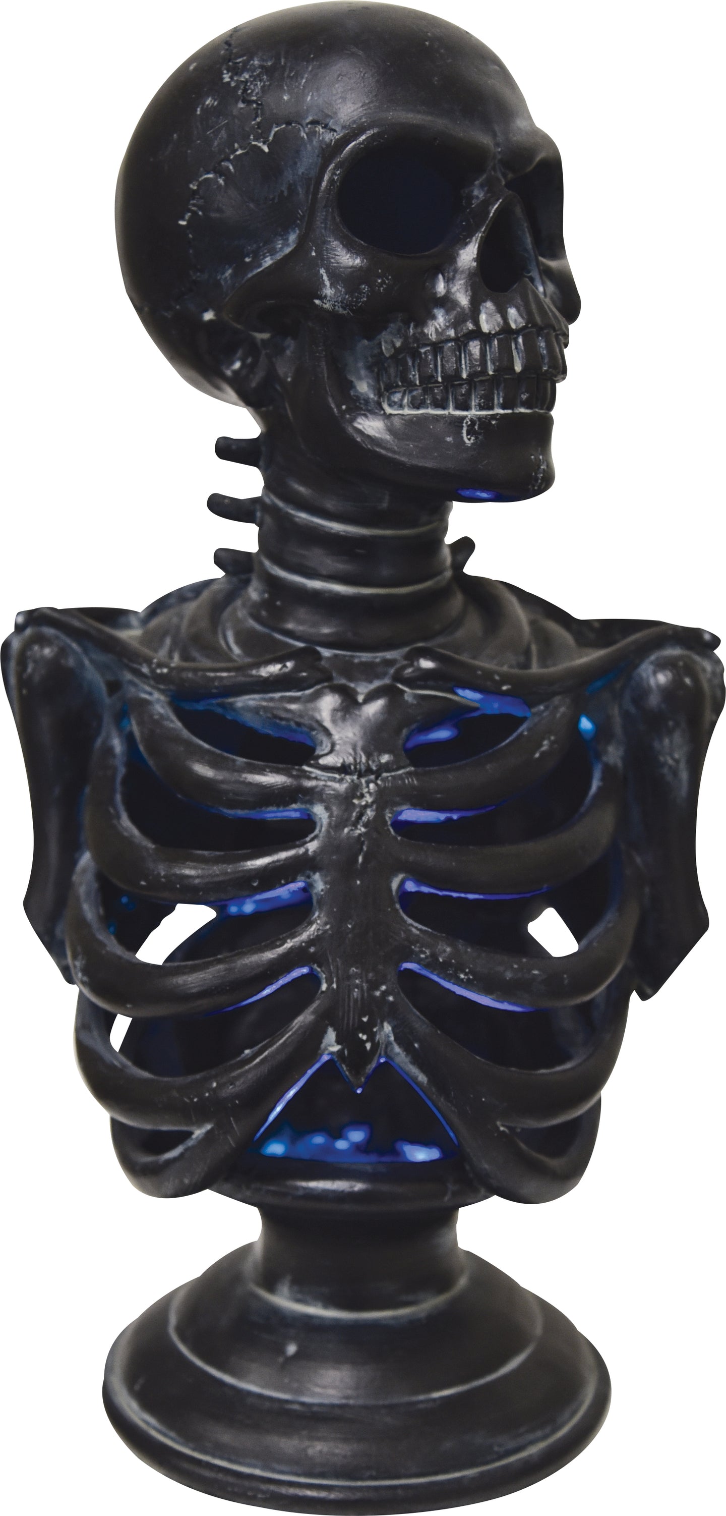 Torse squelette lu 12,5"
