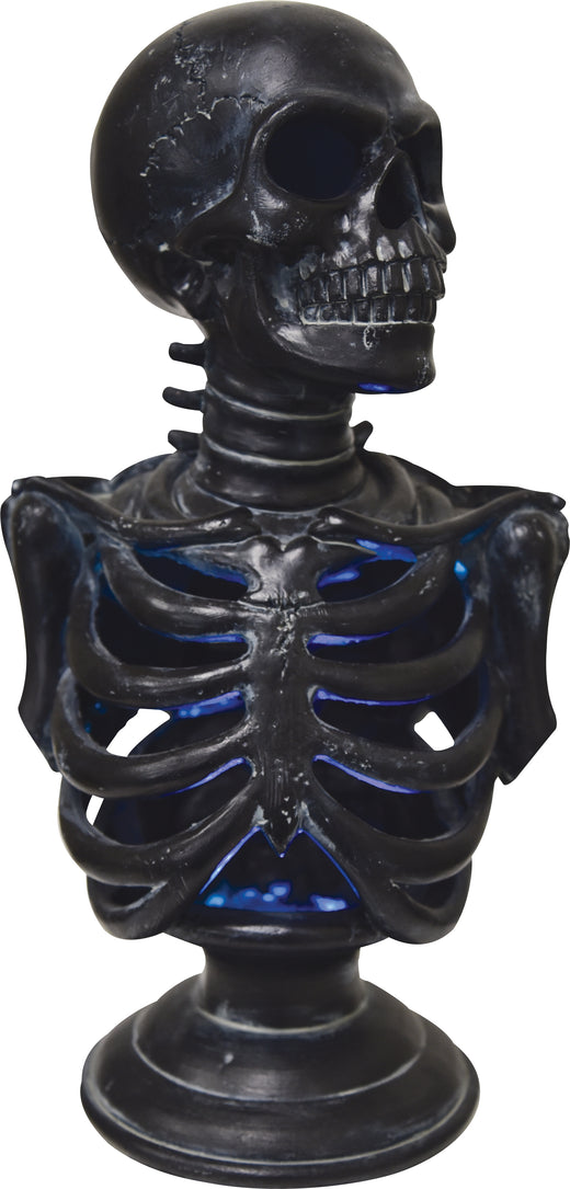 Torse squelette lu 12,5"