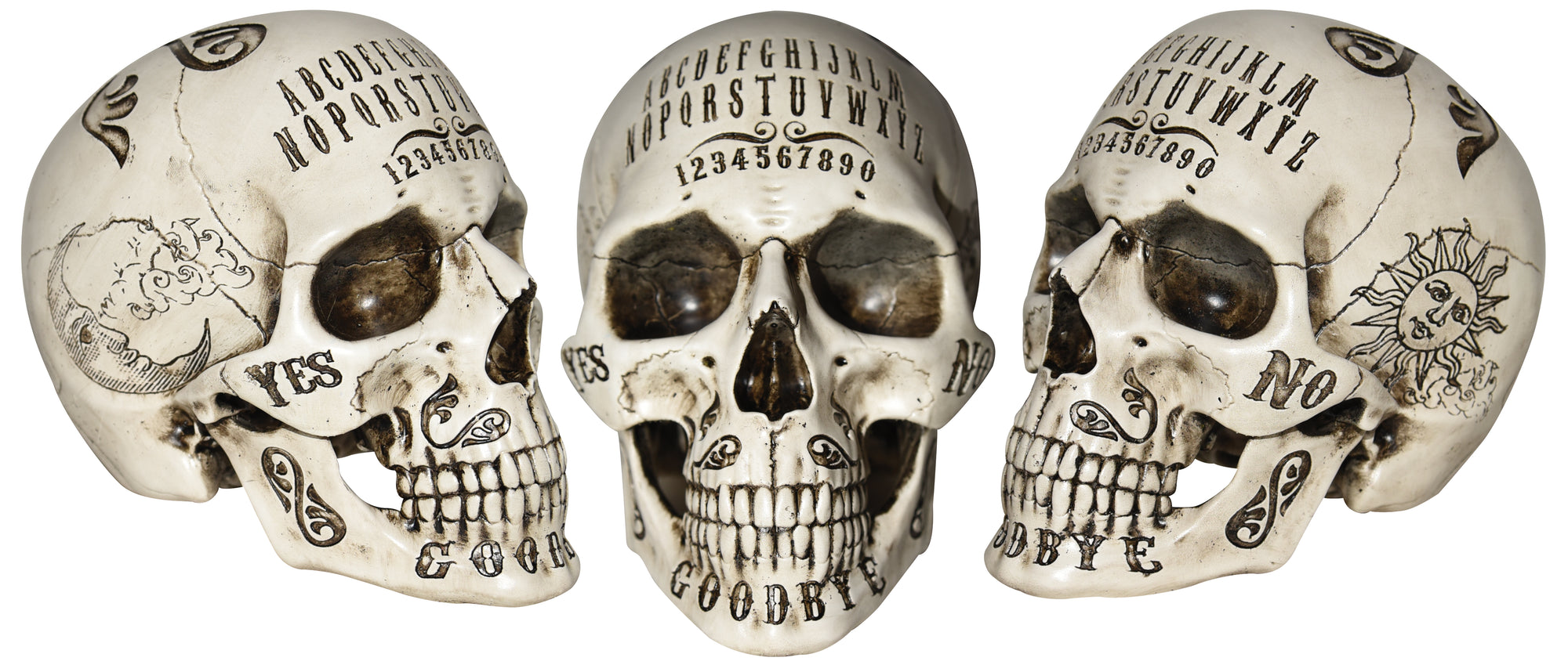 Ash Spirit Resin Skull