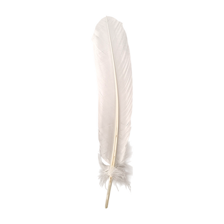 Plume de dinde, 10-12 pouces, Simple: Blanc