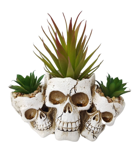 Pot succulent crâne 7 po