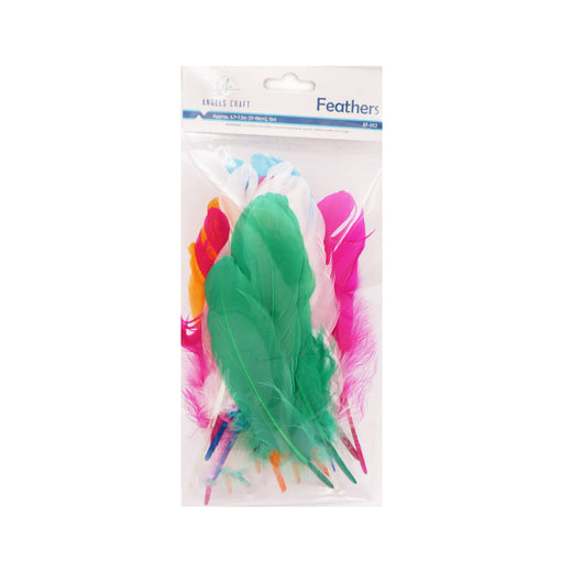 Plumes artisanales assorties et éclatantes – assortiment multicolore