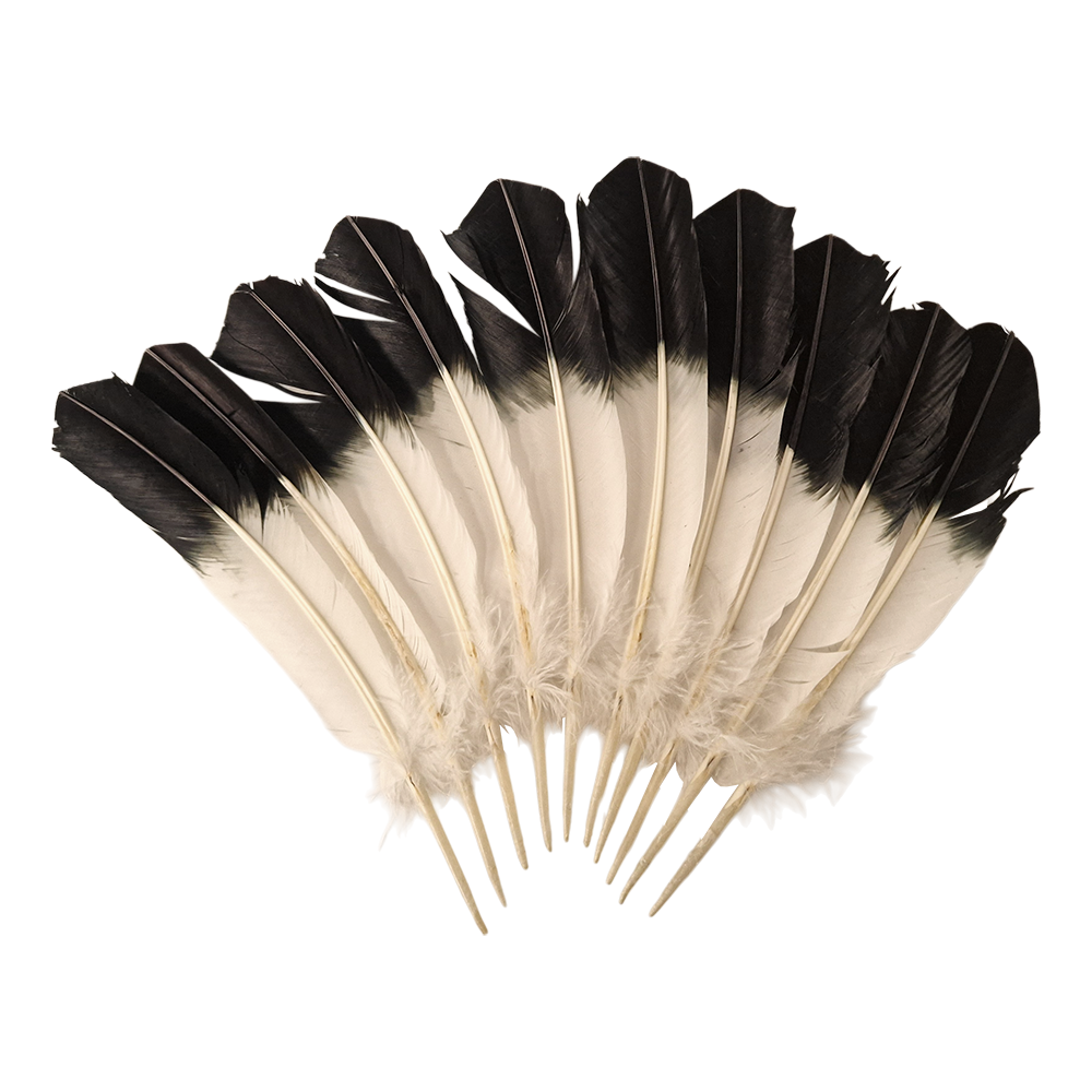 Plume de dinde, 10-12 pouces, Simple: Noir