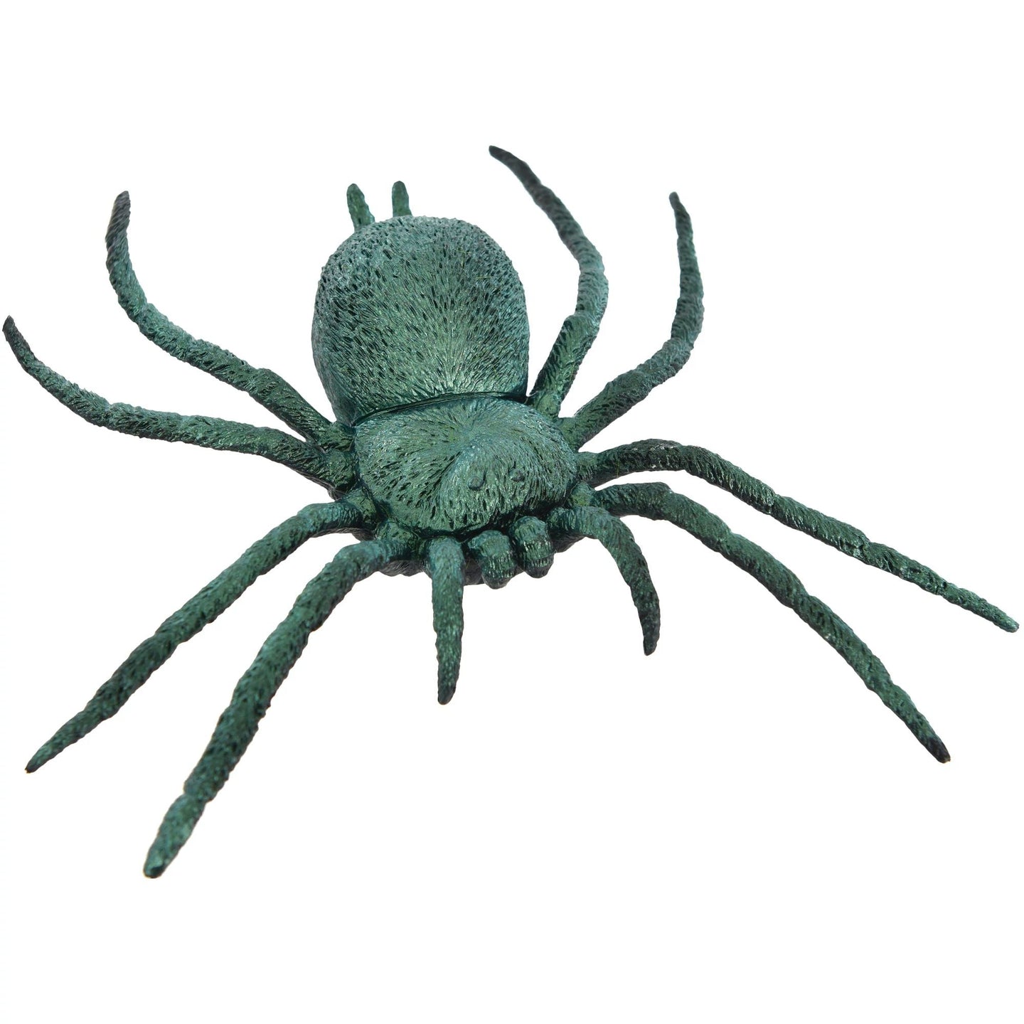 Grande araignée irisée