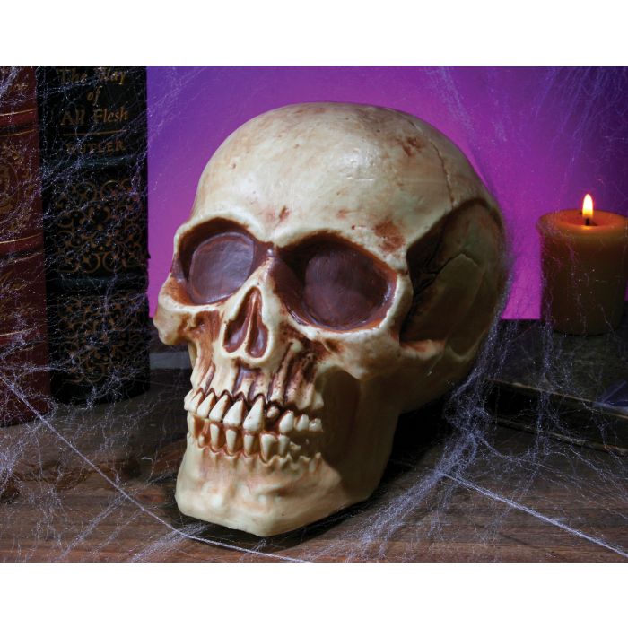 Human Skull (8")