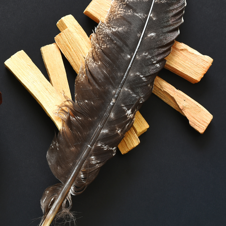 Plume de dinde, 10-12 pouces, Simple: Blanc