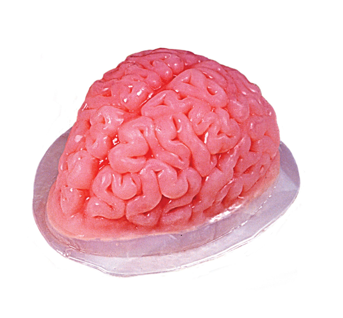 Moule en forme de cerveau - Halloween