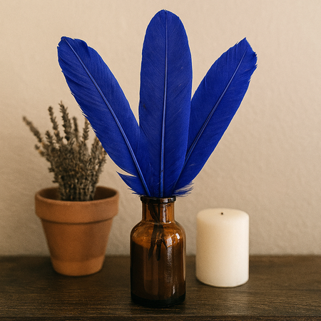 Plume de dinde, 10-12 pouces, Simple: Bleu