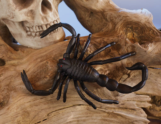 Scorpion géant (6.5")
