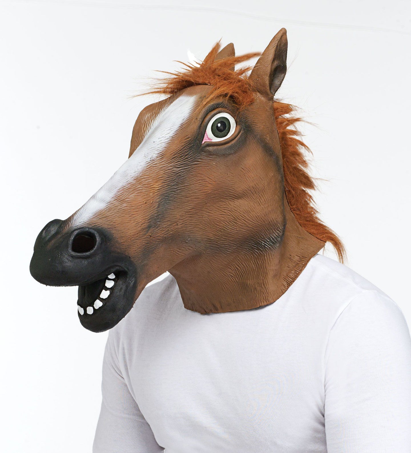 Masque de tête de cheval