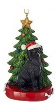 Ornement Chien Résine avec Arbre de Noël Assortiment 4.25"