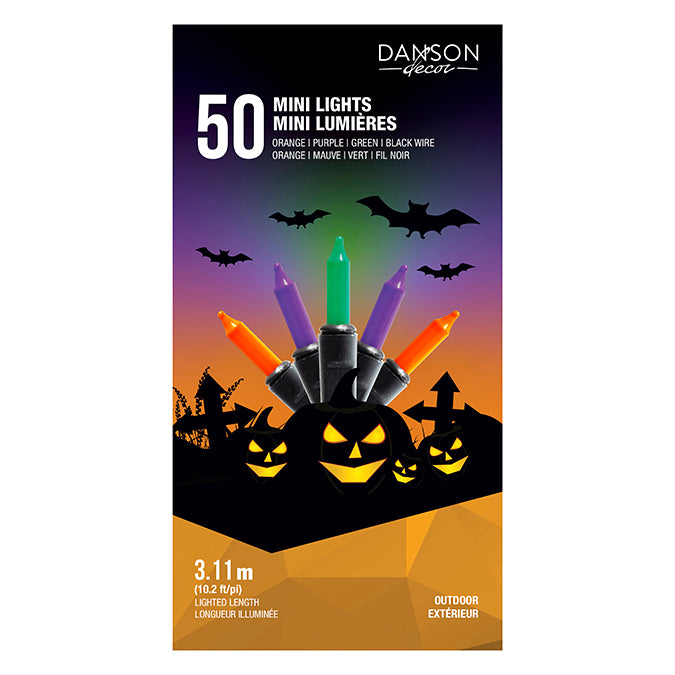 Jeu de 50 mini lumières incandescentes extérieur multicolore