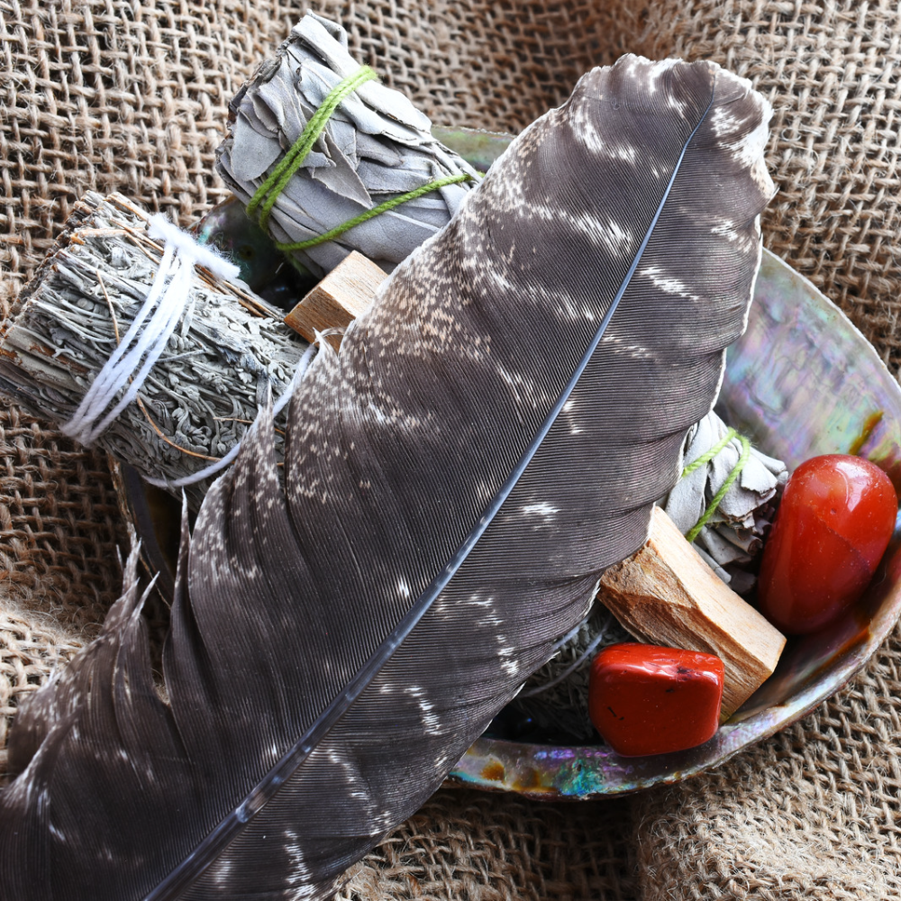 Plume de dinde, 10-12 pouces, Simple: Blanc