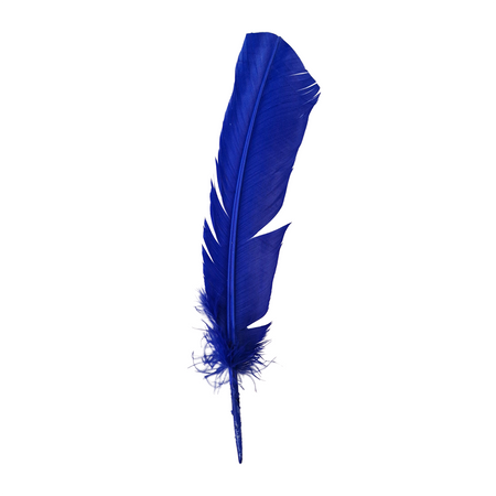 Plume de dinde, 10-12 pouces, Simple: Blanc