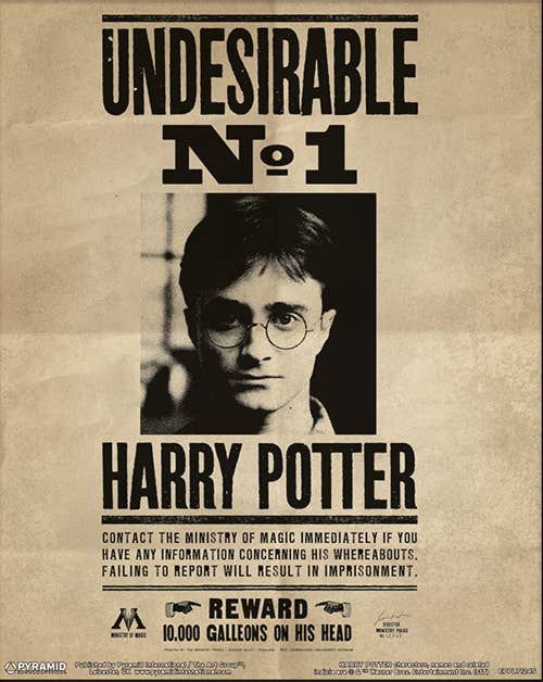 Harry Potter (Harry & Sirius) lenticulaire 3D: Poster 3D 10X8 en vrac