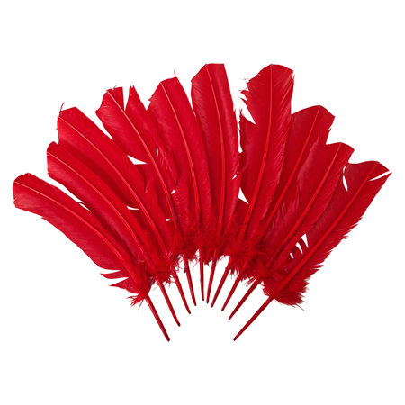 Plume de dinde, 10-12 pouces, Simple: Noir