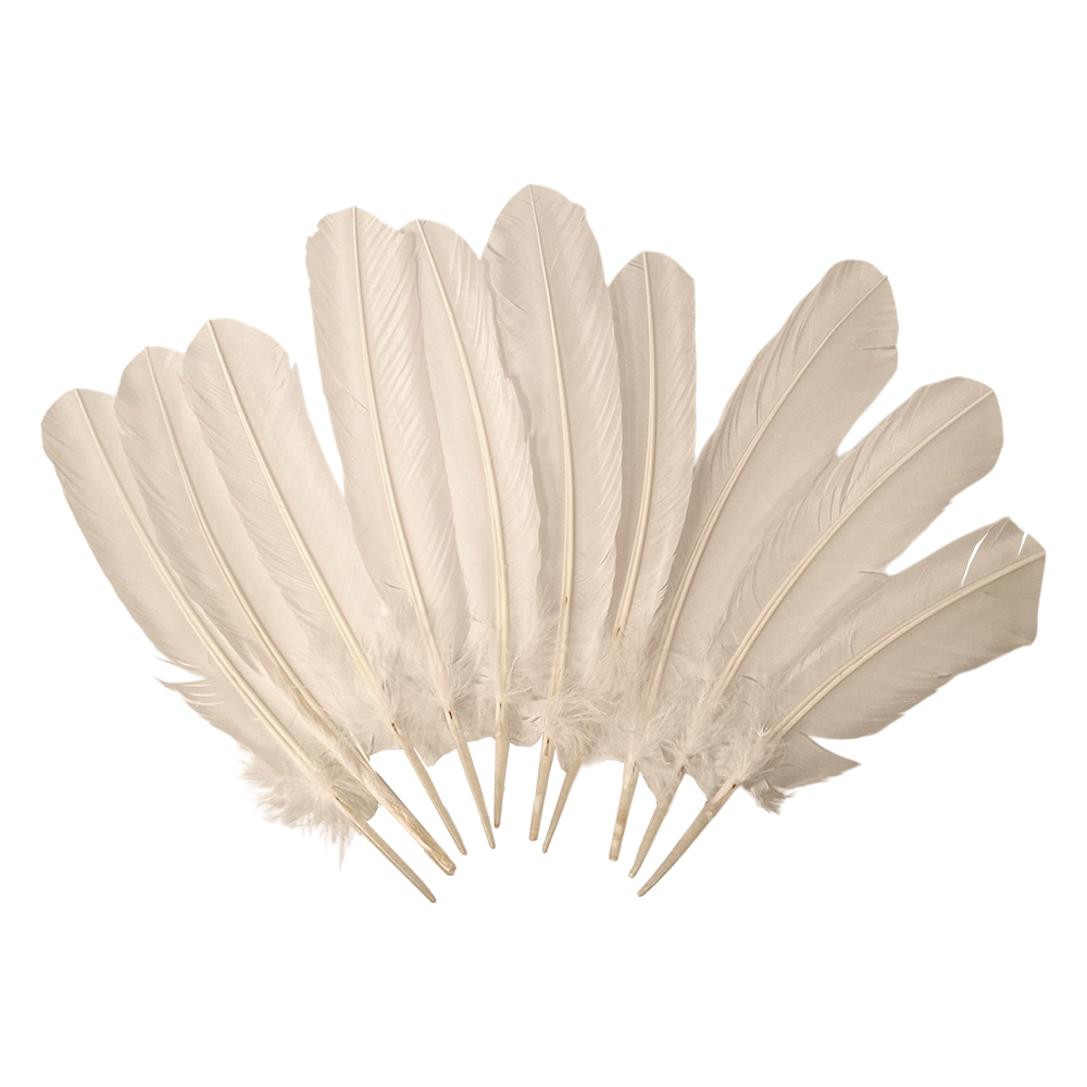 Plume de dinde, 10-12 pouces, Simple: Blanc